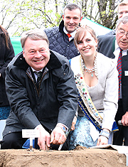 Landwirtschaftsminister Helmut Brunner durfte dann auch selbst einmal Spargel Stechen am Bifang auf dem Viktualienmarkt (©Foto: Martin Schmitz)